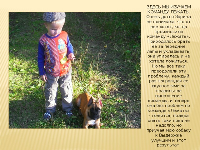 ЗДЕСЬ МЫ ИЗУЧАЕМ КОМАНДУ ЛЕЖАТЬ. Очень долго Зарина не понимала, что от нее хотят, когда произносили команду «Лежать». Приходилось брать ее за передние лапы и укладывать, она упиралась и не хотела ложиться. Но мы все таки преодолели эту проблему, каждый раз награждая ее вкусностями за правильное выполнение команды, и теперь она без проблем по команде «Лежать» - ложится, правда опять таки пока не надолго, но приучая мою собаку к Выдержке улучшим и этот результат. 