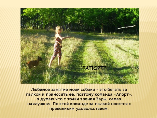 Любимое занятие моей собаки – это бегать за палкой и приносить ее, поэтому команда «Апорт», я думаю что с точки зрения Зары, самая наилучшая. По этой команде за палкой носится с превеликим удовольствием. 