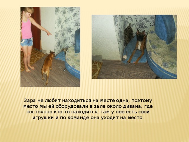 Зара не любит находиться на месте одна, поэтому место мы ей оборудовали в зале около дивана, где постоянно кто-то находится, там у нее есть свои игрушки и по команде она уходит на место. 