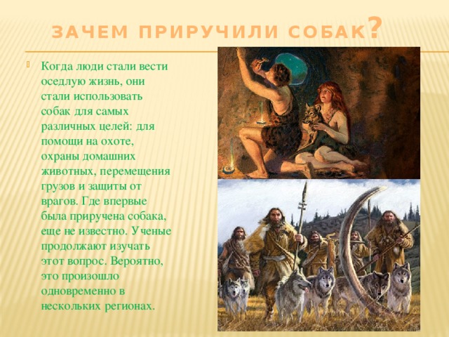 Я приручили пса бывшего