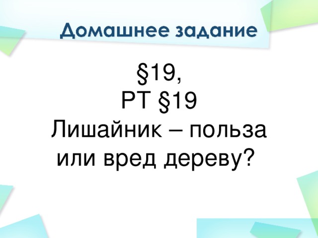 §19, РТ §19 Лишайник – польза или вред дереву?