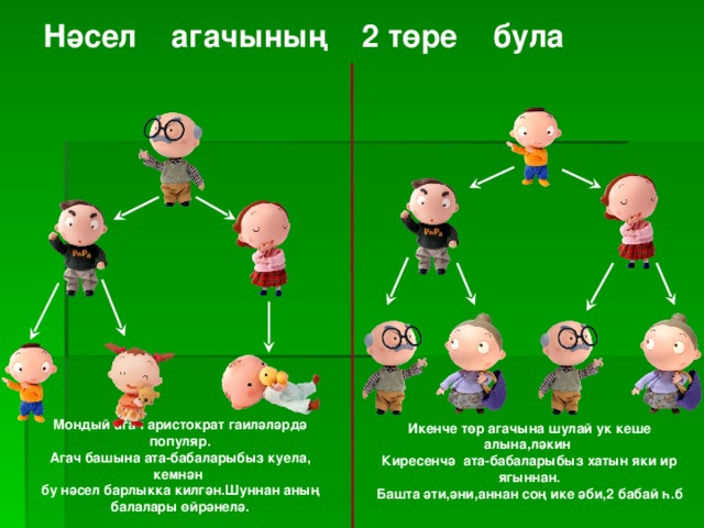 Нәсел агачыны ң 2 төре була Мондый агач аристократ гаиләләрдә популяр. Агач башына ата-бабаларыбыз куела,  кемнән бу нәсел барлыкка килгән.Шуннан аның балалары өйрәнелә. Икенче төр агачына шулай ук кеше алына,ләкин Киресенчә ата-бабаларыбыз хатын яки ир ягыннан. Башта әти,әни,аннан соң ике әби,2 бабай һ.б 