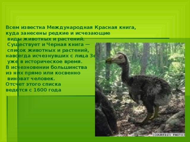 Всем известна Международная Красная книга, куда занесены редкие и исчезающие  виды животных и растений.  Существует и Черная книга —  список животных и растений, навсегда исчезнувших с лица Земли  уже в историческое время. В исчезновении большинства из них прямо или косвенно  виноват человек. Отсчет этого списка ведется с 1600 года  