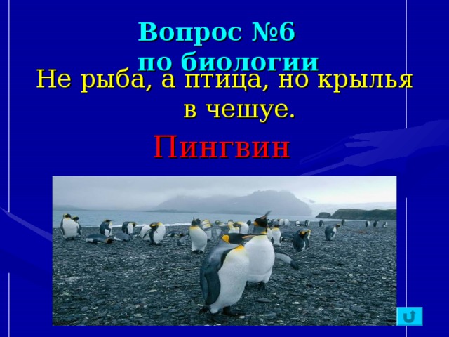 Вопрос №6  по биологии Не рыба, а птица, но крылья в чешуе. Пингвин  