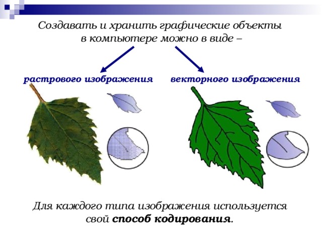 Создавать и хранить графические объекты в компьютере можно в виде –     растрового изображения  векторного изображения    Для каждого типа изображения используется свой способ кодирования .