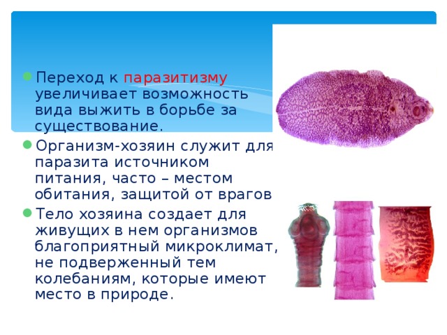 Переход к паразитизму увеличивает возможность вида выжить в борьбе за существование. Организм-хозяин служит для паразита источником питания, часто – местом обитания, защитой от врагов. Тело хозяина создает для живущих в нем организмов благоприятный микроклимат, не подверженный тем колебаниям, которые имеют место в природе. 