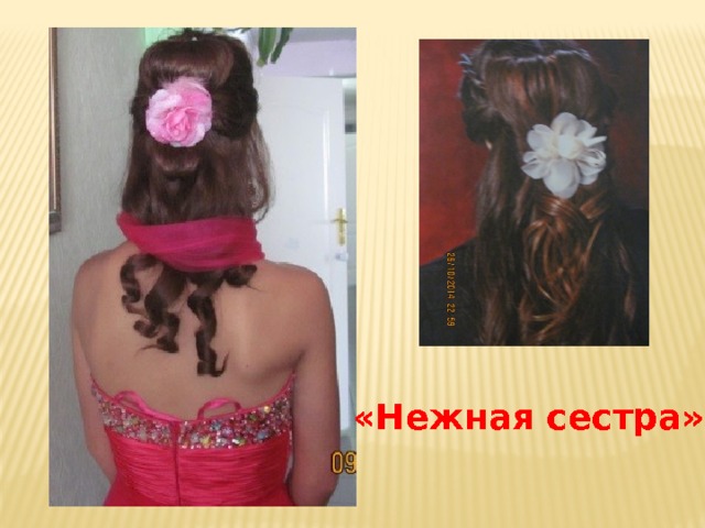 «Нежная сестра». 