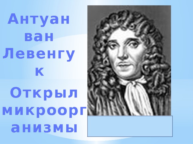 Антуан ван Левенгук Открыл микроорганизмы 