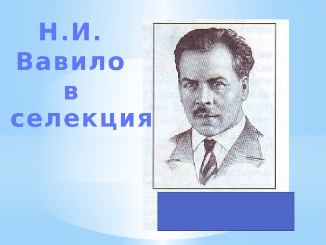 Н.И. Вавилов селекция 