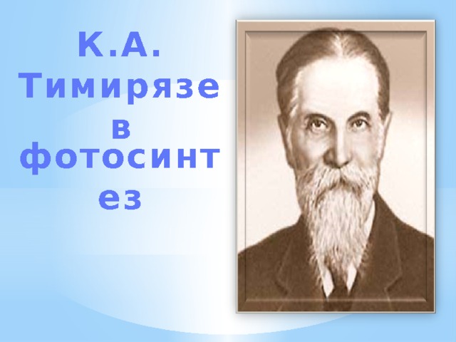 К.А. Тимирязев фотосинтез 