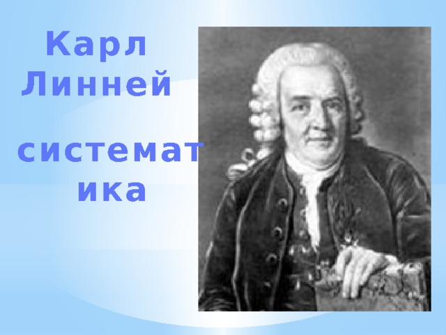 Карл Линней систематика 