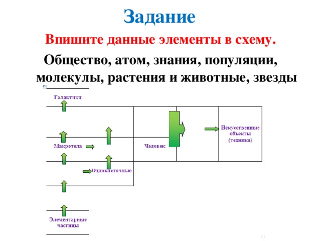 Задание Впишите данные элементы в схему. Общество, атом, знания, популяции, молекулы, растения и животные, звезды и планеты.  