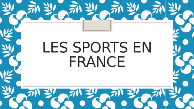 Les Sports en France 