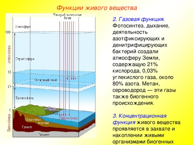 Определи и сопоставь с изображением вещества участвующие в фотосинтезе кислород и вода