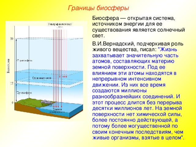Границы биосферы Биосфера — открытая система, источником энергии для ее существования является солнечный свет. В.И.Вернадский, подчеркивая роль живого вещества, писал: 