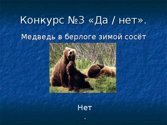 Конкурс №3 «Да / нет». Медведь в берлоге зимой сосёт лапу. Нет. 