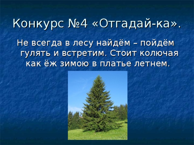 Конкурс №4 «Отгадай-ка». Не всегда в лесу найдём – пойдём гулять и встретим. Стоит колючая как ёж зимою в платье летнем. 