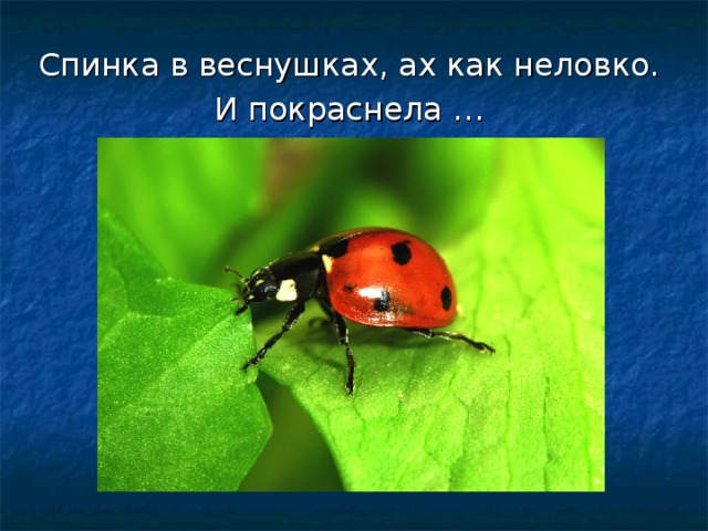 Спинка в веснушках, ах как неловко. И покраснела … 