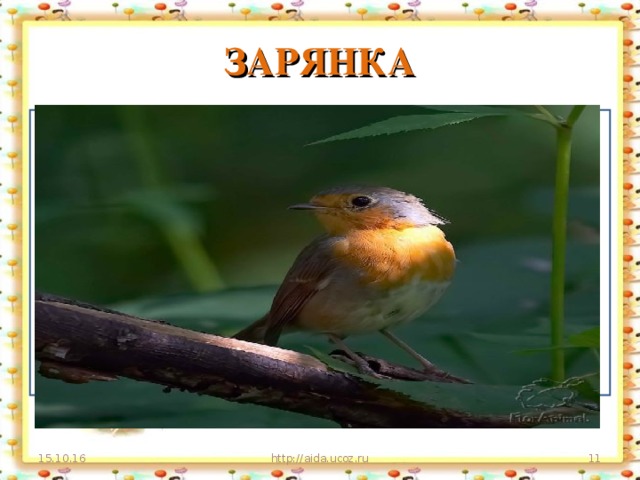 ЗАРЯНКА На зорьке встает, в честь зорьки поет Цвет зорьки – на зобике, цвет зорьки – на лобике. На заре встает, слава солнышку поет  Полыхает грудь огнем, Хвостик ходит ходуном. 15.10.16 http://aida.ucoz.ru