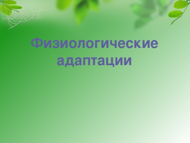 Что такое забота о потомстве. Смотреть фото Что такое забота о потомстве. Смотреть картинку Что такое забота о потомстве. Картинка про Что такое забота о потомстве. Фото Что такое забота о потомстве