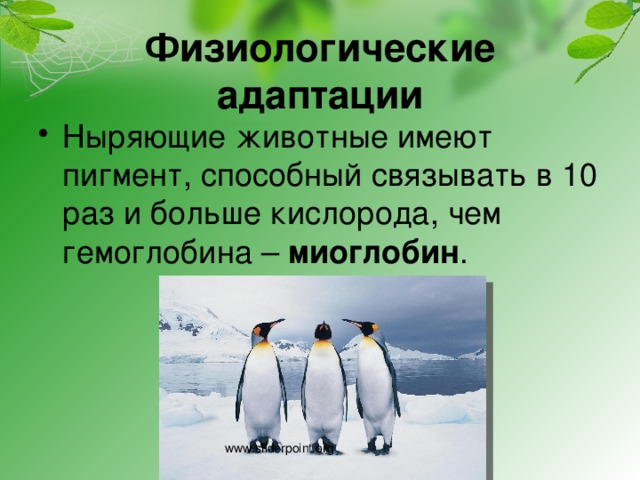 Что такое забота о потомстве. Смотреть фото Что такое забота о потомстве. Смотреть картинку Что такое забота о потомстве. Картинка про Что такое забота о потомстве. Фото Что такое забота о потомстве