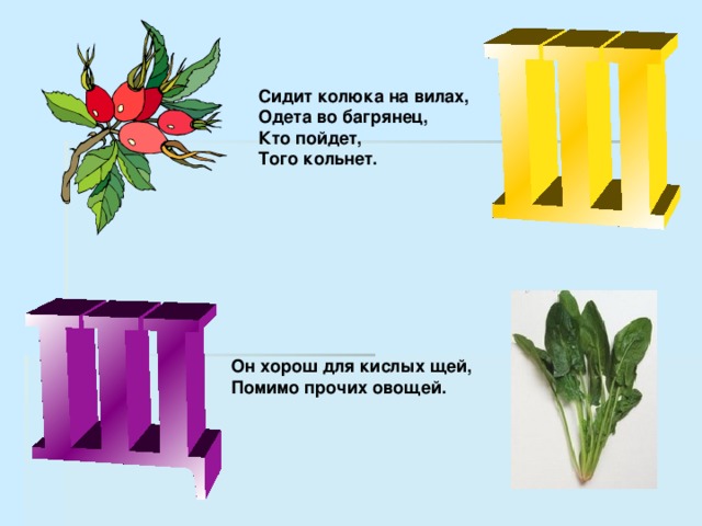 Помимо прочих. Он хорош для кислых щей помимо прочих овощей ответ на загадку. Стоит Колюка одета в багрянец кто подойдёт того кольнёт что это. Стоит колючка на Вилах одета в багрянец кто подойдёт того кольнёт