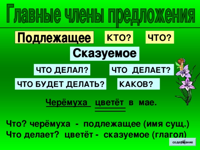 КТО? ЧТО? ЧТО ДЕЛАЛ? ЧТО ДЕЛАЕТ?  ЧТО БУДЕТ ДЕЛАТЬ? КАКОВ?  Черёмуха цветёт в мае. Что? черёмуха - подлежащее (имя сущ.) Что делает? цветёт - сказуемое (глагол) содержание