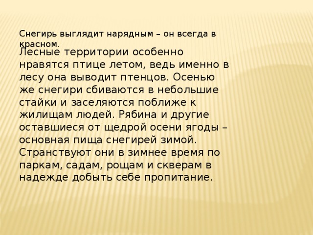 Снегирь выглядит нарядным – он всегда в красном. Лесные территории особенно нравятся птице летом, ведь именно в лесу она выводит птенцов. Осенью же снегири сбиваются в небольшие стайки и заселяются поближе к жилищам людей. Рябина и другие оставшиеся от щедрой осени ягоды – основная пища снегирей зимой. Странствуют они в зимнее время по паркам, садам, рощам и скверам в надежде добыть себе пропитание. 