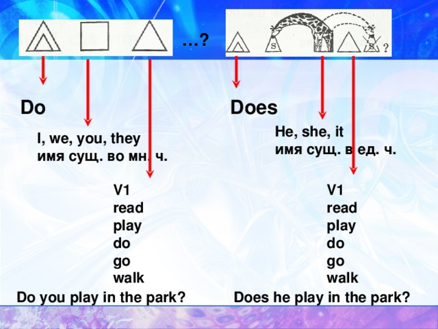 … ? Does Do He, she, it имя сущ. в ед. ч. I, we, you, they имя сущ. во мн. ч. V1 read play do go walk V1 read play do go walk Do you play in the park? Does he play in the park? 