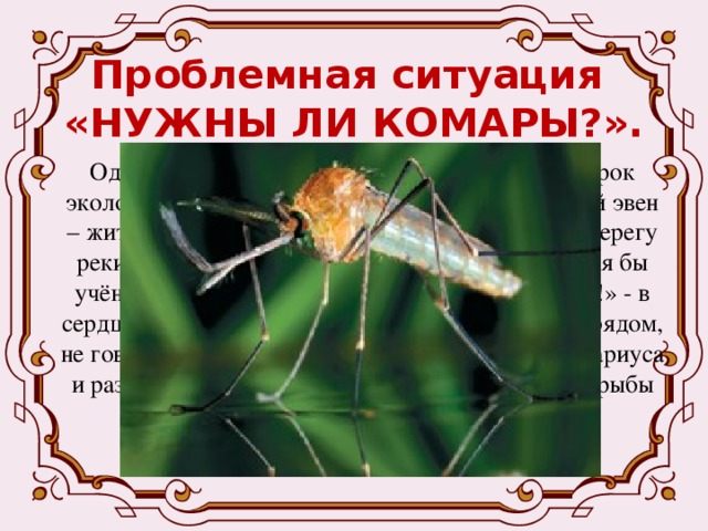 Проблемная ситуация  «НУЖНЫ ЛИ КОМАРЫ?». Один знакомый рыбак на всю жизнь запомнил урок экологической культуры, который дал ему старый эвен – житель колымской тайги. Они ловили рыбу на берегу реки, но в тайге были тучи комаров. «Эх, нашёлся бы учёный, который бы истребил всю эту «нечисть»!» - в сердцах воскликнул рыбак. Эвен, который сидел рядом, не говоря ни слова, взял только что пойманного хариуса и разрезал ножом его толстое брюшко. Желудок рыбы был наполнен … комарами. 