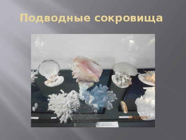 Подводные сокровища 