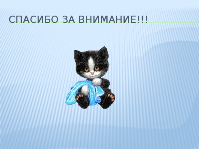 Спасибо за внимание!!! 