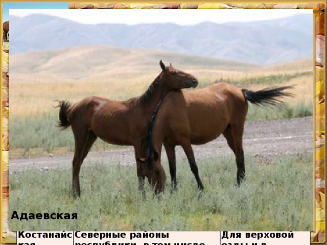 Разведение лошадей Виды Районы разведения Жабы Использование Атырауская, Актюбинская, Карагандинская, Кызылординская, Южно-Казахстанская, Жамбылская, Восточно-Казахстанская, Акмолин­ская и Северо-Казахстанская области Адаевская Атырауская и Мангистауская области Кушумская В качестве рабочей силы и гужевого транспорта Для верховой езды Актюбинская, Алматинская и Жамбылская области Костанайская Северные районы республики, в том числе Костанайская область Для тяжелой работы и поездок на дальние расстояния Для верховой езды и в качестве гужевого транспорта Адаевская 