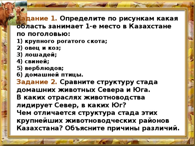 Задание 1. Определите по рисункам какая область занимает 1-е место в Казахстане по поголовью: крупного рогатого скота; овец и коз; лошадей; свиней; верблюдов; домашней птицы. Задание 2. Сравните структуру стада домашних животных Севе­ра и Юга. В каких отраслях животноводства лидирует Север, в каких Юг? Чем отличается структура стада этих крупнейших животноводческих рай­онов Казахстана? Объясните причины различий. 