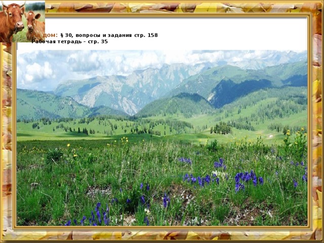  На дом: § 30, вопросы и задания стр. 158  Рабочая тетрадь – стр. 35   