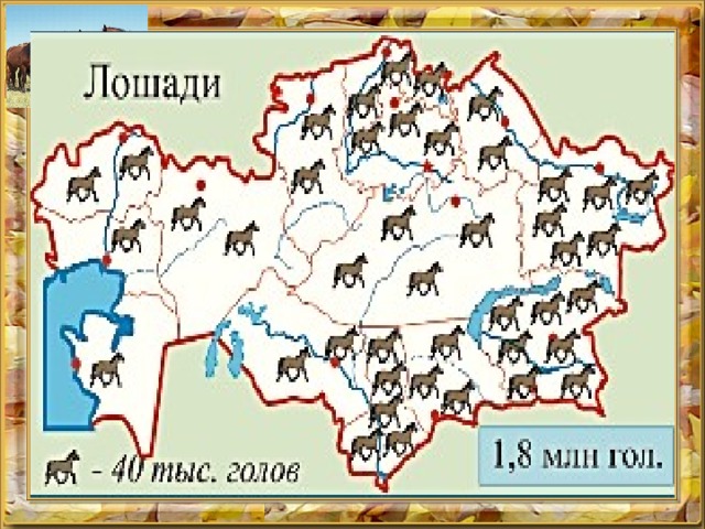 КОНЕВОДСТВО Традиционная отрасль животноводства. У казахов-кочевников лошадь издавна была самым рас­пространенным животным среди домашнего скота. Согласно историческим данным, впервые лошадь была приручена в степных районах Казахстана. Одна из древних - лошадь казахской породы. Ее используют в основном как гужевой транспорт, для получения мяса и кумыса .    