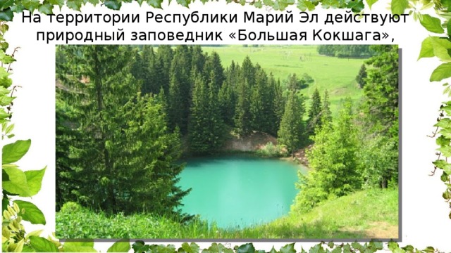 На территории Республики Марий Эл действуют природный заповедник «Большая Кокшага», национальный парк «Марий Чодра». 