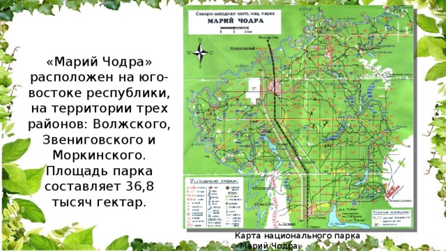 «Марий Чодра» расположен на юго-востоке республики, на территории трех районов: Волжского, Звениговского и Моркинского. Площадь парка составляет 36,8 тысяч гектар. Карта национального парка «Марий Чодра» 
