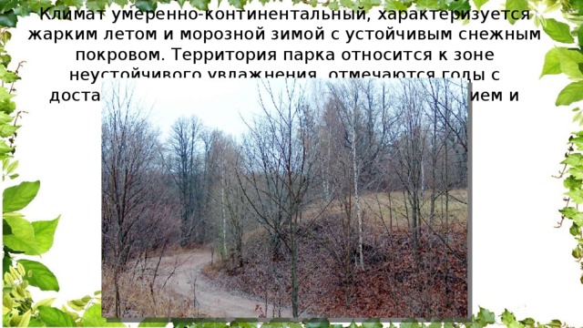 Климат умеренно-континентальный, характеризуется жарким летом и морозной зимой с устойчивым снежным покровом. Территория парка относится к зоне неустойчивого увлажнения, отмечаются годы с достаточным, иногда с избыточным увлажнением и засушливые. 
