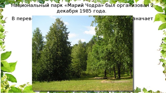 Национальный парк «Марий Чодра» был организован 2 декабря 1985 года. В переводе с марийского языка его название означает «марийский лес». 