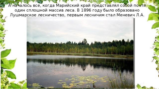 А началось все, когда Марийский край представлял собой почти один сплошной массив леса. В 1896 году было образовано Лушмарское лесничество, первым лесничим стал Меневич Л.А. 