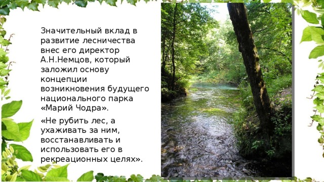 Значительный вклад в развитие лесничества внес его директор А.Н.Немцов, который заложил основу концепции возникновения будущего национального парка «Марий Чодра». «Не рубить лес, а ухаживать за ним, восстанавливать и использовать его в рекреационных целях». 