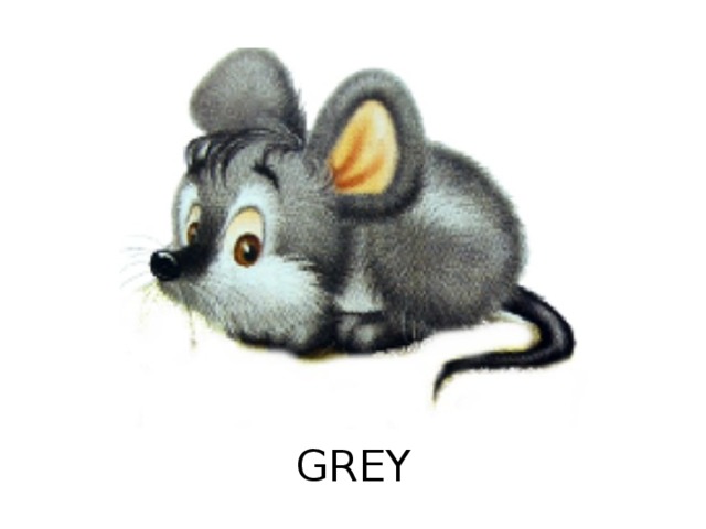 GREY 