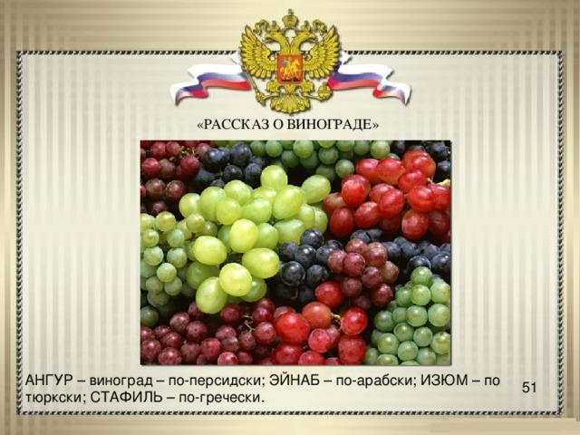 «РАССКАЗ О ВИНОГРАДЕ» АНГУР – виноград – по-персидски; ЭЙНАБ – по-арабски; ИЗЮМ – по тюркски; СТАФИЛЬ – по-гречески. 51 