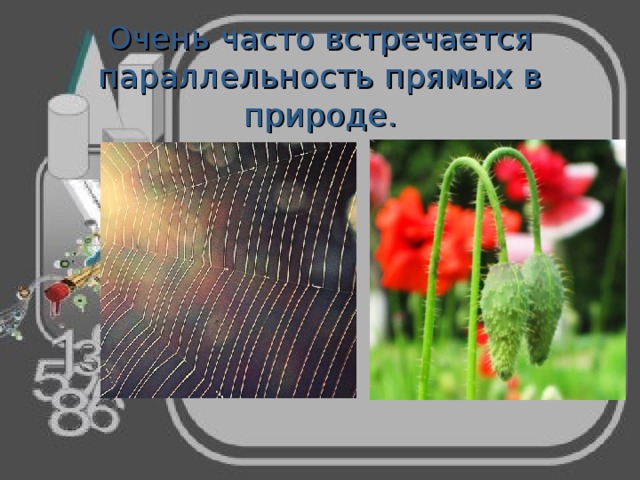 Очень часто встречается параллельность прямых в природе. 