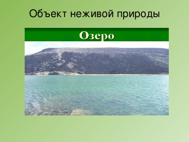 Объект неживой природы 