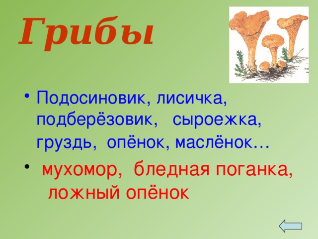 Грибы Подосиновик, лисичка, подберёзовик, сыроежка, груздь, опёнок, маслёнок…   мухомор, бледная поганка, ложный опёнок 