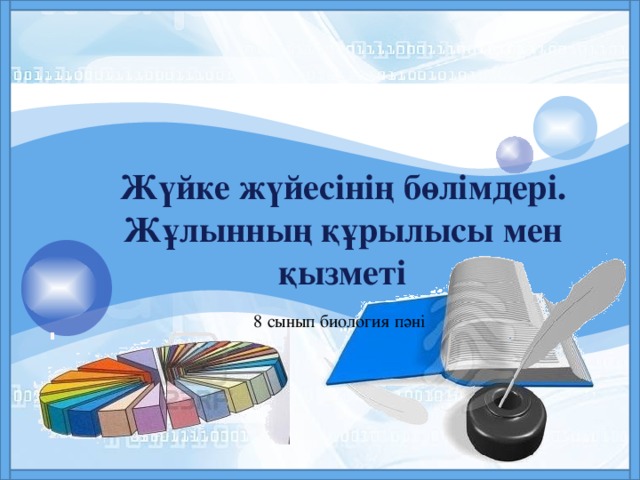 Жүйке жүйесінің бөлімдері. Жұлынның құрылысы мен қызметі 8 сынып биология пәні 
