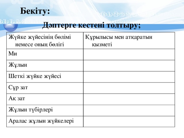 Бекіту: Дәптерге кестені толтыру;  Жүйке жүйесінің бөлімі немесе оның бөлігі Құрылысы мен атқаратын қызметі Ми Жұлын Шеткі жүйке жүйесі Сұр зат Ақ зат Жұлын түбірлері Аралас жұлын жүйкелері 