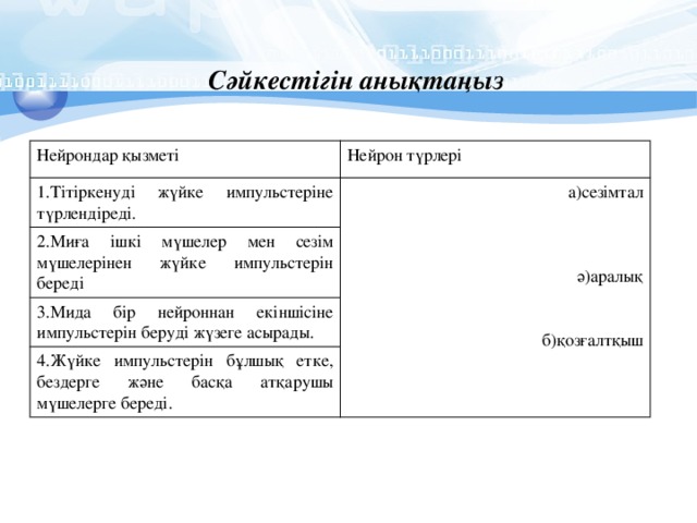 Сәйкестігін анықтаңыз Нейрондар қызметі Нейрон түрлері 1.Тітіркенуді жүйке импульстеріне түрлендіреді. а)сезімтал 2.Миға ішкі мүшелер мен сезім мүшелерінен жүйке импульстерін береді 3.Мида бір нейроннан екіншісіне импульстерін беруді жүзеге асырады. 4.Жүйке импульстерін бұлшық етке, бездерге және басқа атқарушы мүшелерге береді. ә)аралық б)қозғалтқыш 